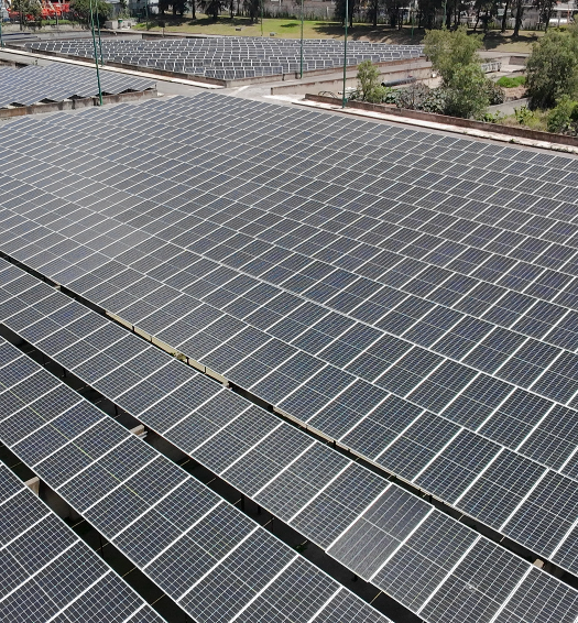 Sunmex Galería foto 1